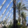 Ciudad de las Artes y las Ciencias