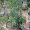 Blockheide