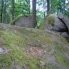 Blockheide