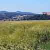 Blick auf die Burg