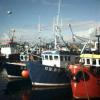 Mallaig