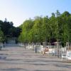 Kurpark