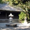 Kōtoku-in · 高徳院