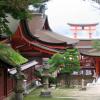 Itsukushima Shrine · 厳島神社