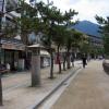 Miyajima · 宮島