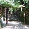 Kasuga Shrine · 春日大社