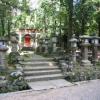 Kasuga Shrine · 春日大社