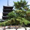 Five-storied Pagoda · 五重塔
