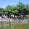 Sarusawa-ike Pond · 猿沢池