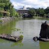 Sarusawa-ike Pond · 猿沢池