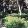 Parc del Laberint d\'Horta