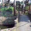 Ueno Park Â· ä¸Šé‡Žå…¬åœ’