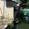 Ueno Park Â· ä¸Šé‡Žå…¬åœ’