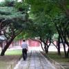 Jongmyo · 종묘