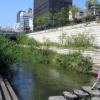 Cheonggyecheon · 청계천