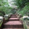 Phu Si hill