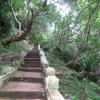 Phu Si hill
