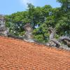 Temple of Literature · Văn Miếu