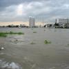 Chao Phraya · แม่น้ำเจ้าพระยา