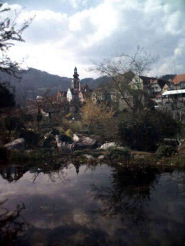 Blick vom anderen Murufer