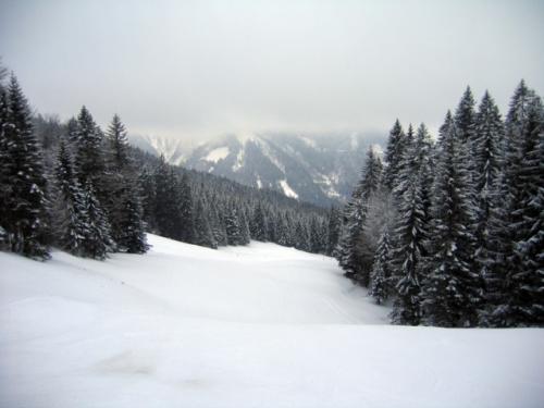 Schneetreiben in Hintersee