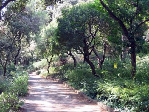 Parc del Laberint d\'Horta