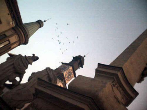 Pestsäule & Altes Rathaus 