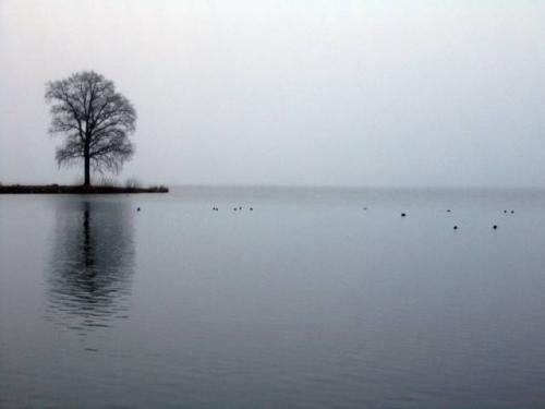 Schweriner See
