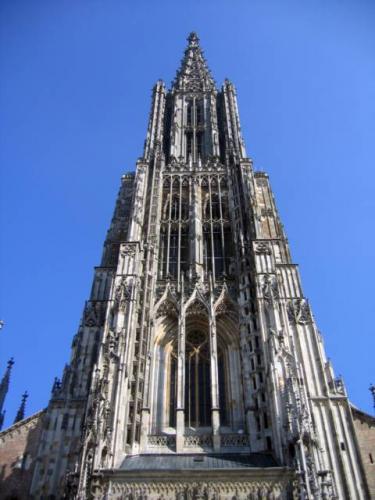 Dom