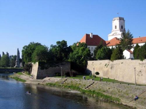 Rába