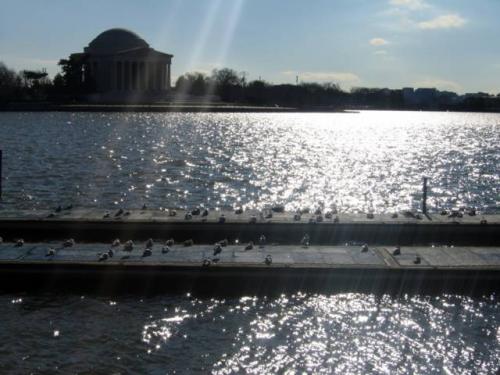 Tidal Basin