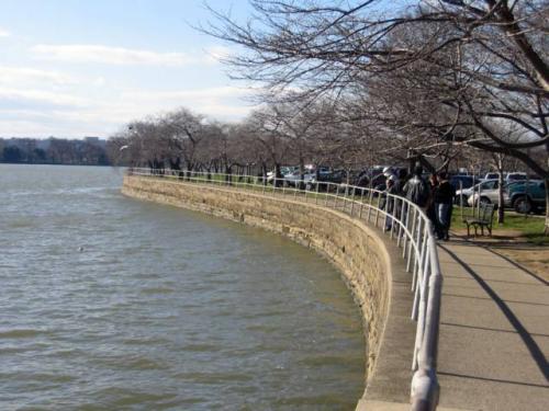Tidal Basin