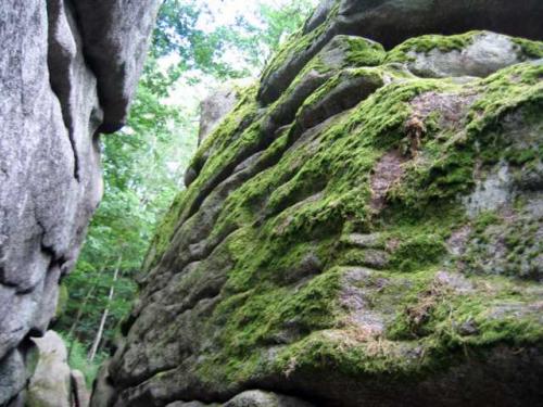 Blockheide