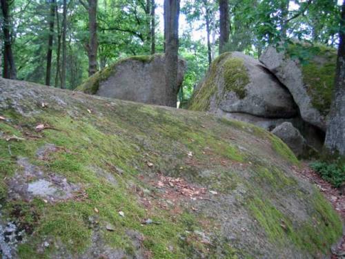 Blockheide