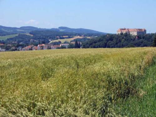Blick auf die Burg