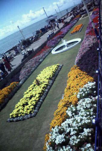 Garpet Gardens