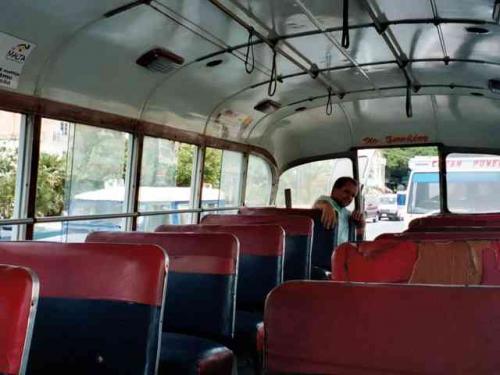 Maltese bus