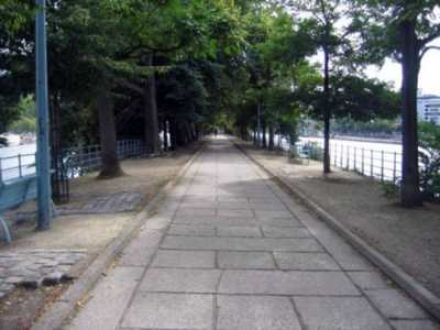 Allée des Cygnes 