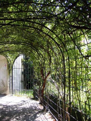 Hofgarten ~ Giardino di Corte