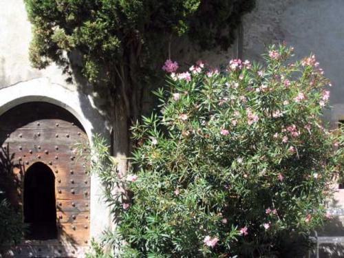 Landesfürstliche Burg ~ Castello Principesco