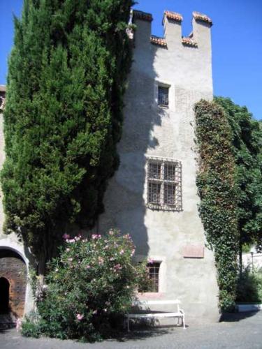 Landesfürstliche Burg ~ Castello Principesco