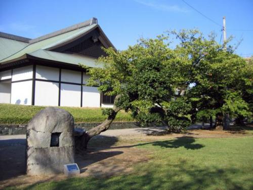 Tokushima-jō · 徳島城