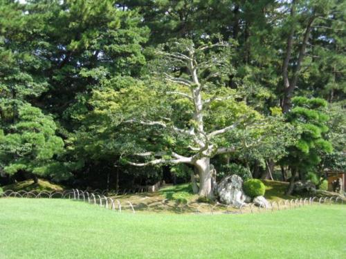 Kōraku-en · 後楽園