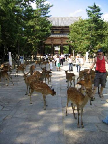 Nandaimon · 南大門