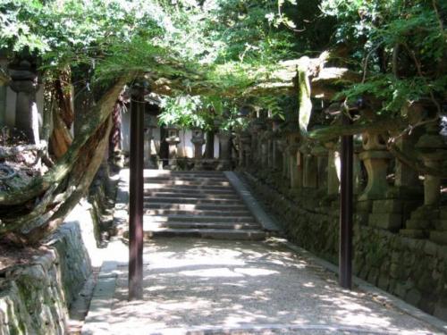 Kasuga Shrine · 春日大社