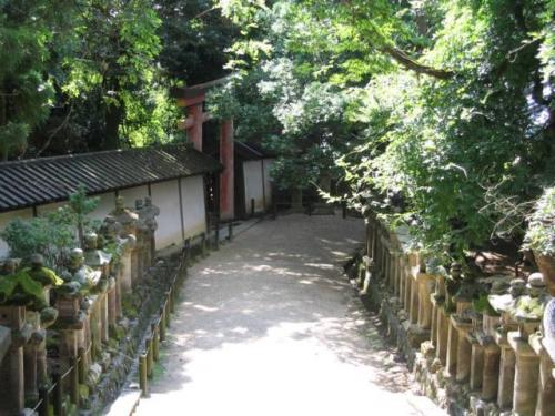 Kasuga Shrine · 春日大社