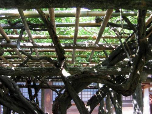 Kasuga Shrine · 春日大社