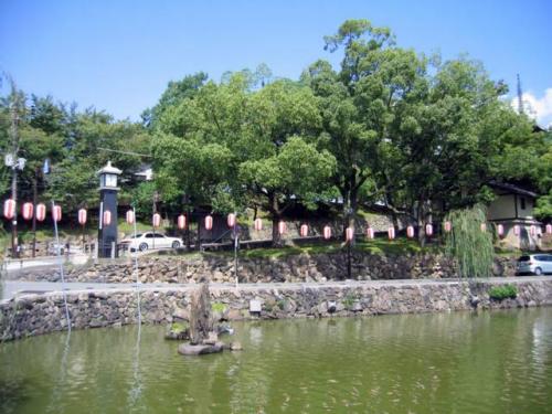 Sarusawa-ike Pond · 猿沢池