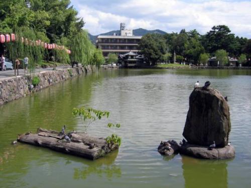 Sarusawa-ike Pond · 猿沢池