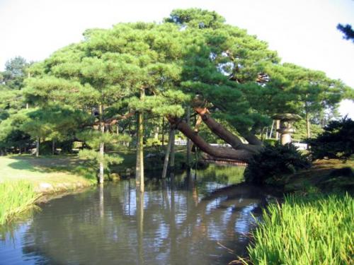 Kenroku-en · 兼六園